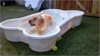daycare pic 45 - Ira in pool